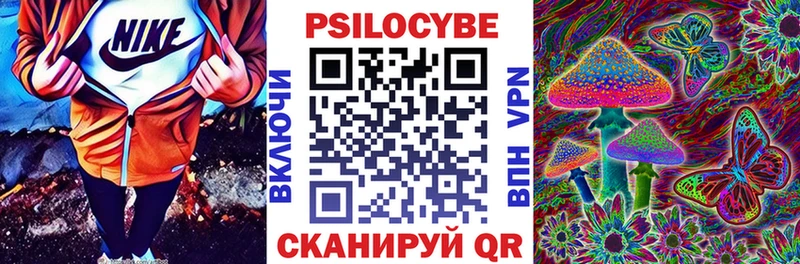 Псилоцибиновые грибы Cubensis Элиста