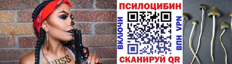 Галлюциногенные грибы Cubensis  Элиста 